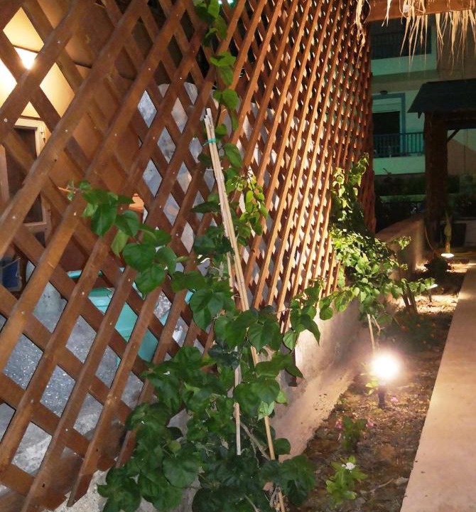 Photo of Others in Mastichari