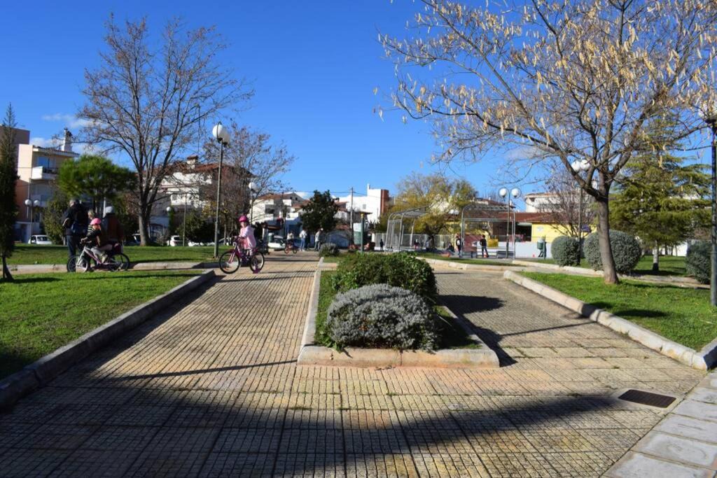 Photo of Others in Gerakas