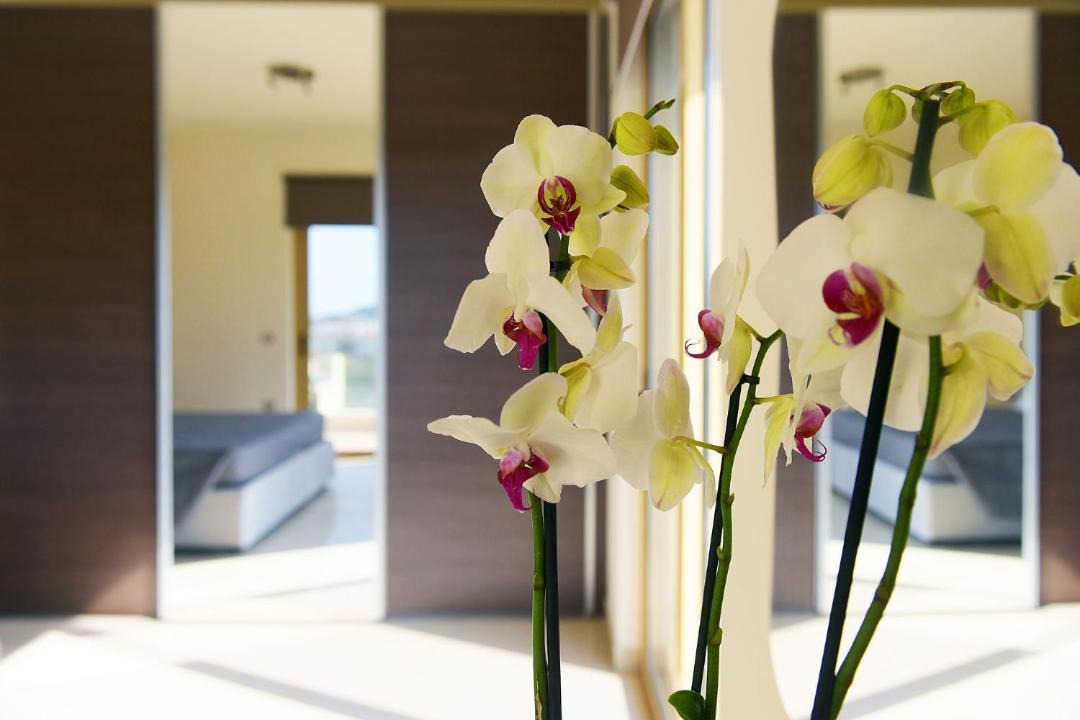 Photo of Livingroom in Kalavarda