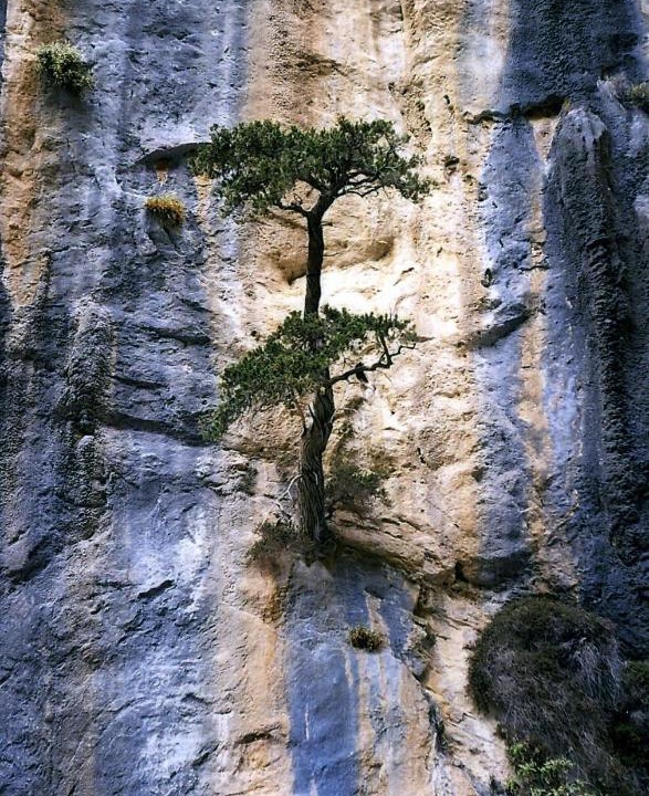 Photo of Others in Omalos