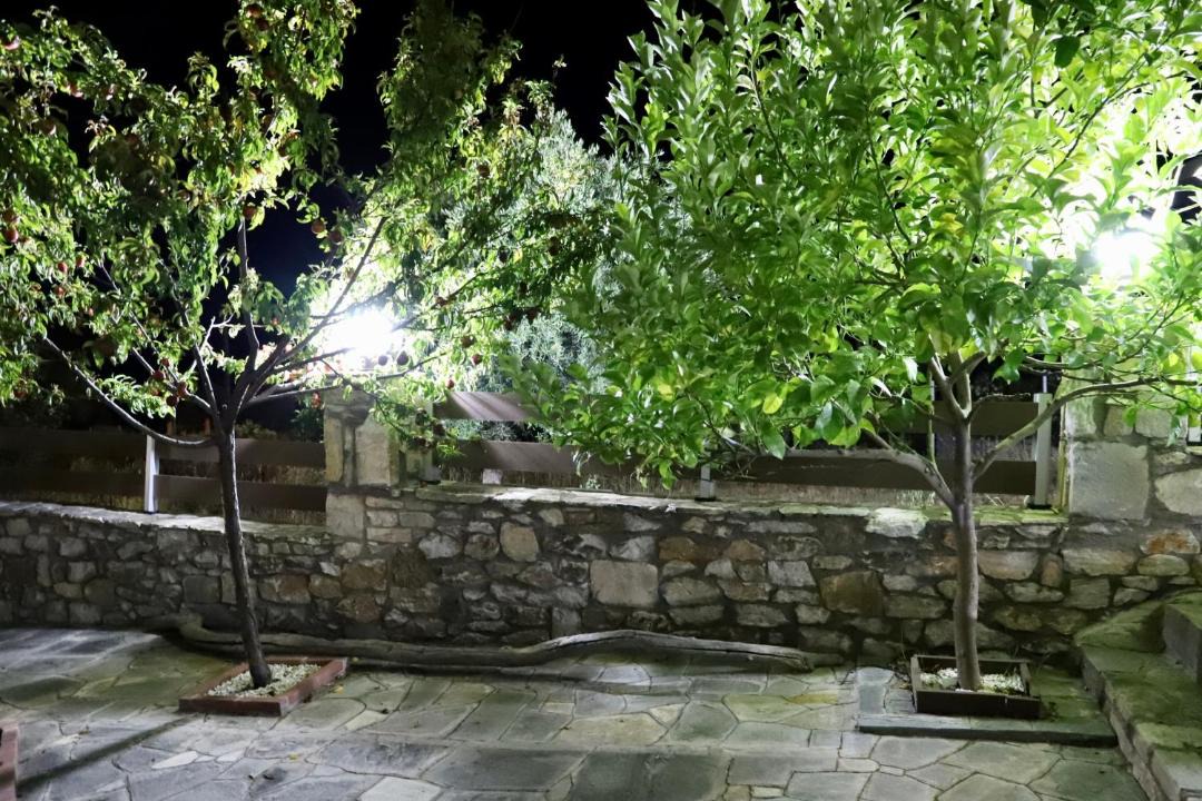 Photo of Others in Limenaria
