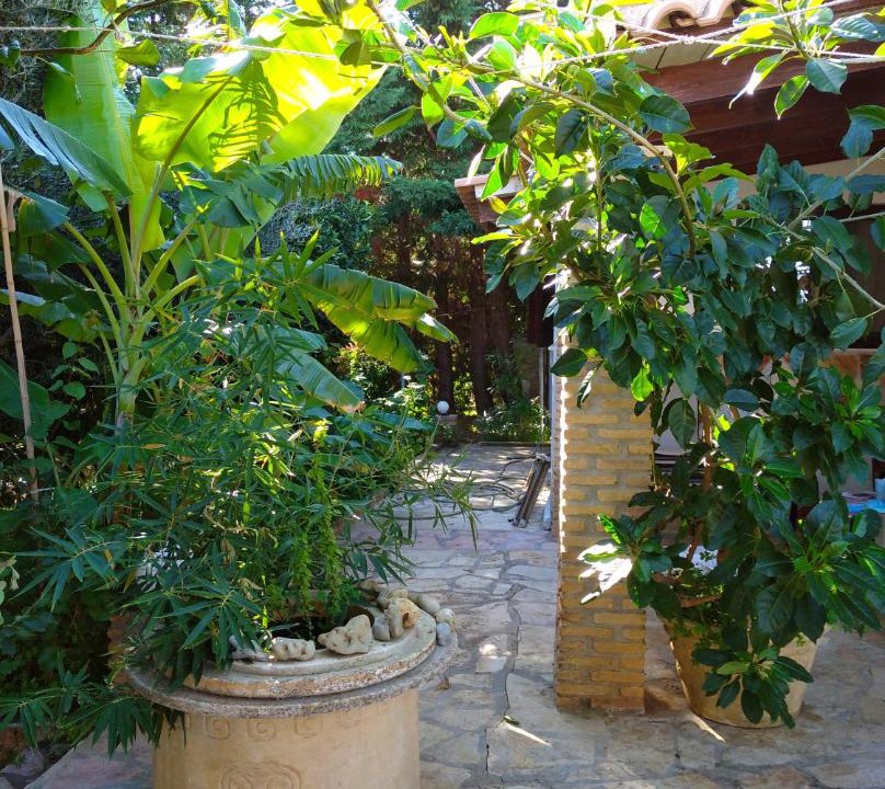 Photo of Others in Kastro