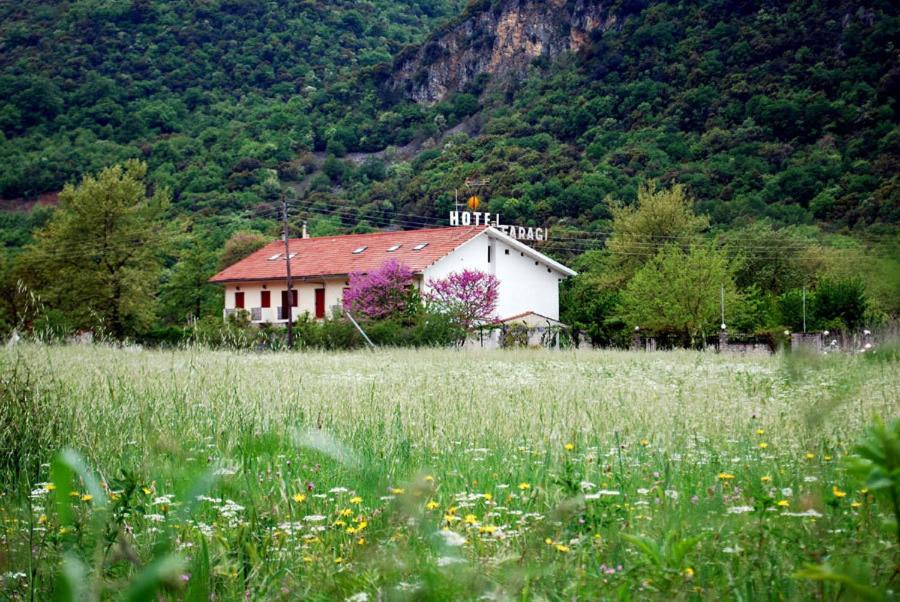 Photo of Others in Kleidonia