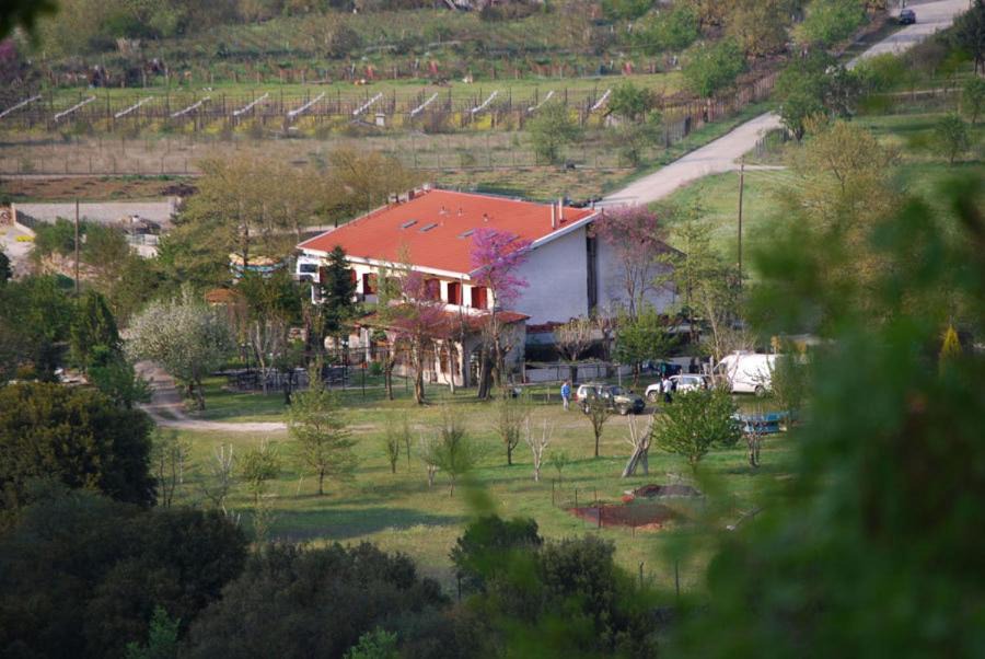 Photo of Others in Kleidonia