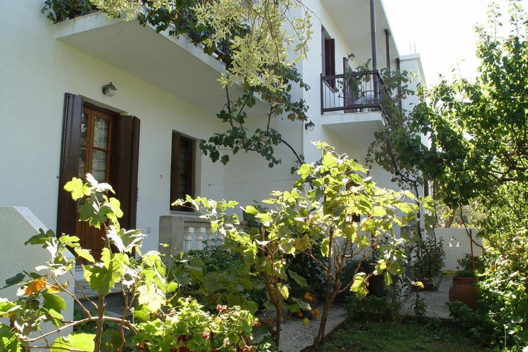 Photo of Others in Skopelos