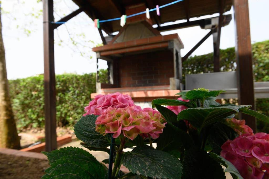 Photo of Patio Balcony in Alexandroupoli