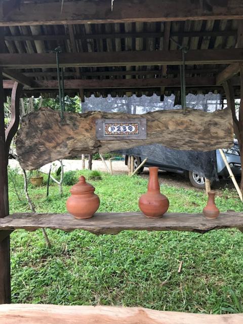 Photo of Others in Mae Chan