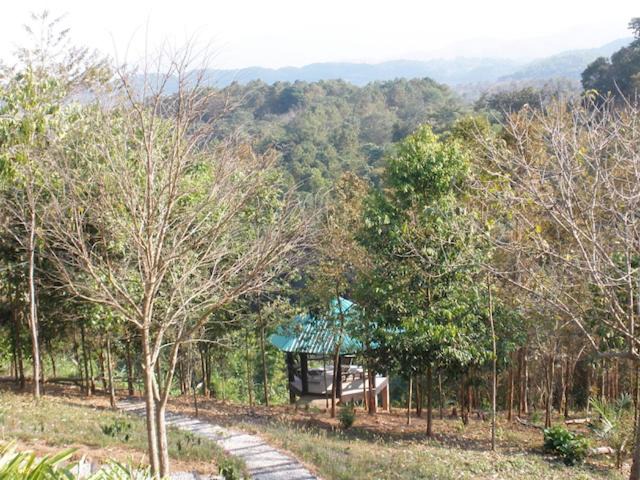 Photo of Others in Mae Chan