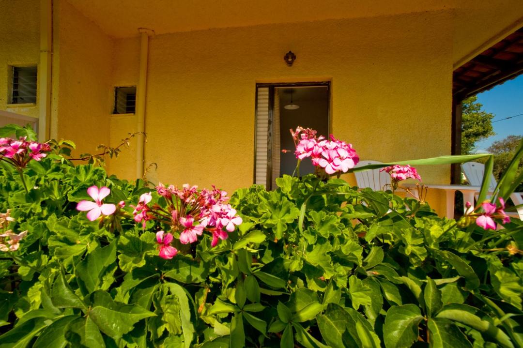 Photo of Others in Nopigia