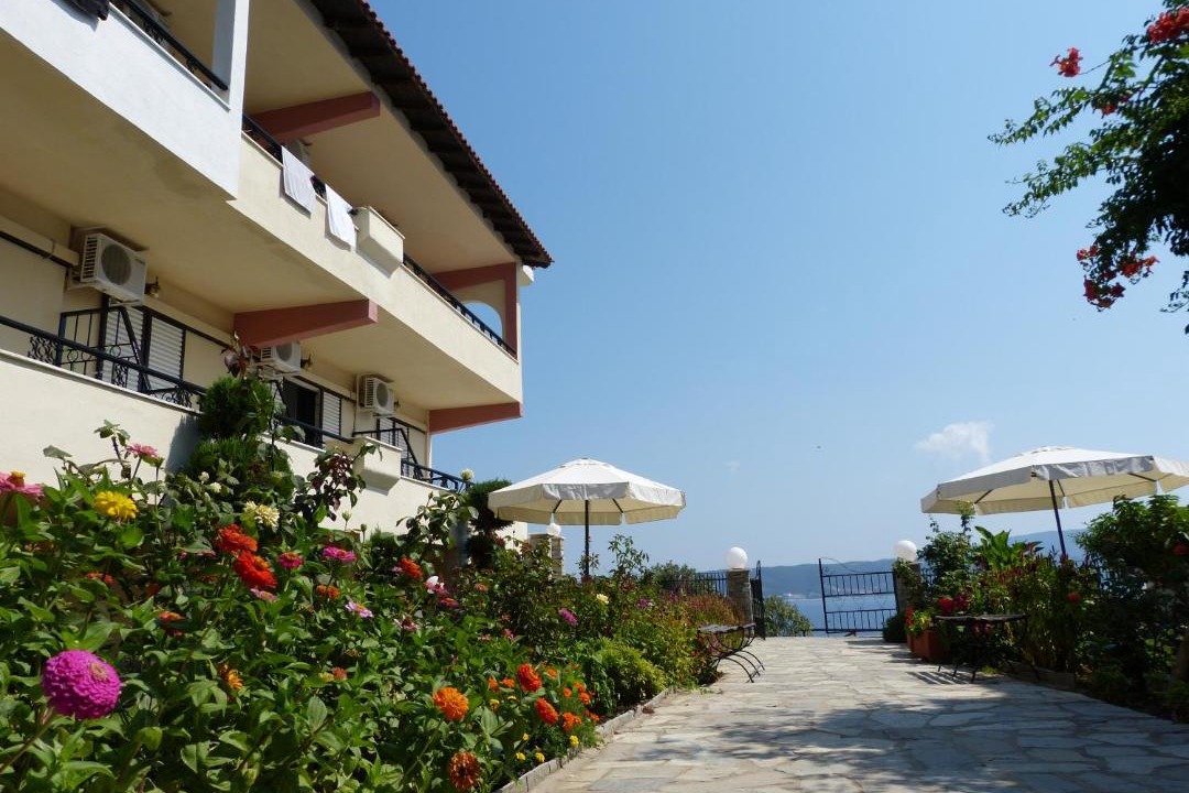 Photo of Others in Aristotelis