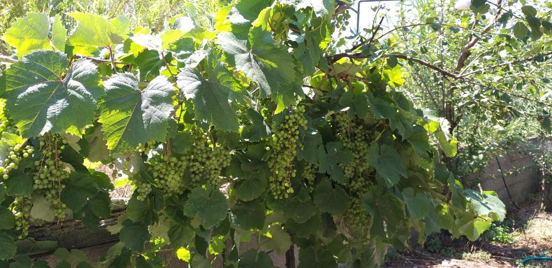 Photo of Outdoor in Ag. Georgios