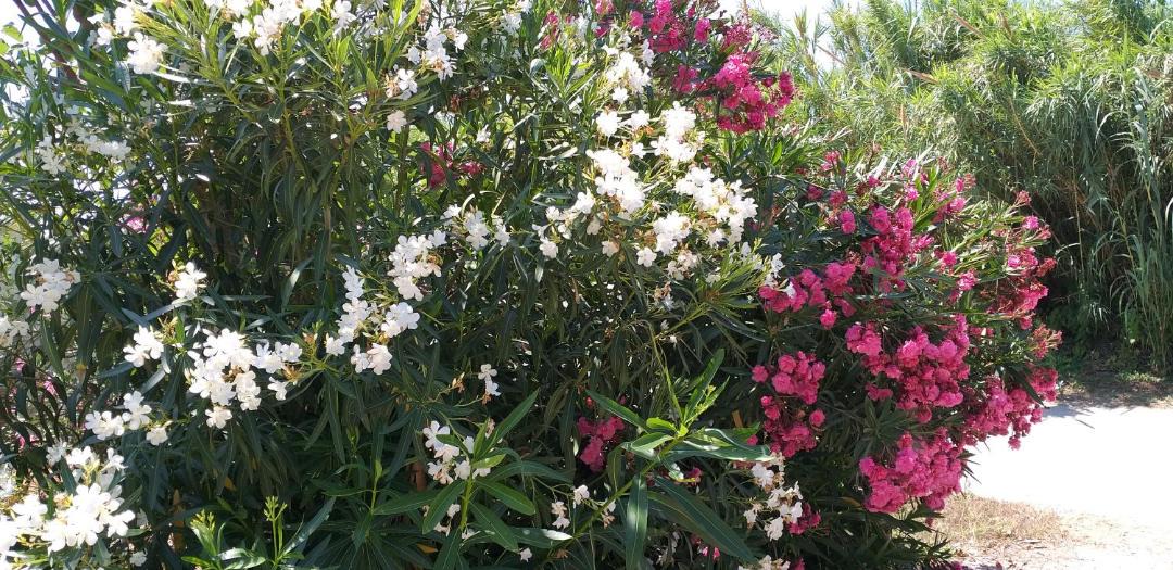 Photo of Outdoor in Ag. Georgios