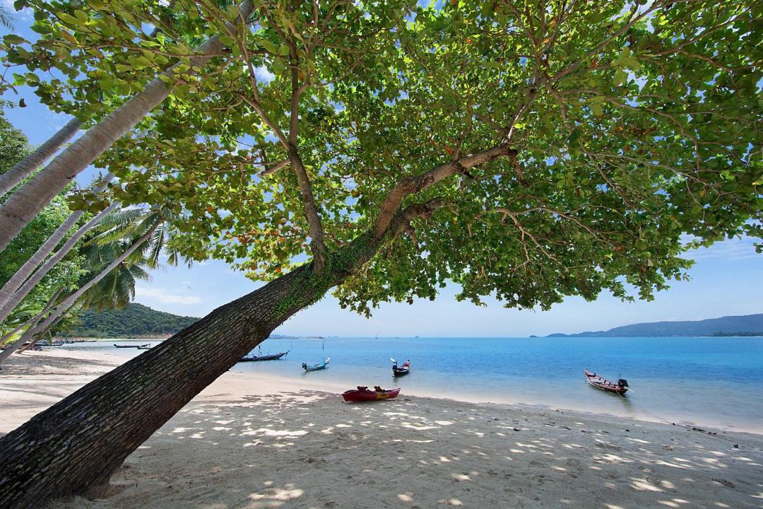 Photo of Others in Lipa Noi