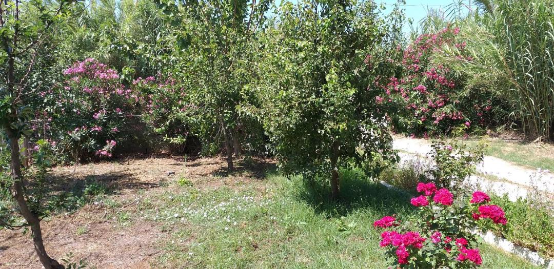 Photo of Outdoor in Ag. Georgios