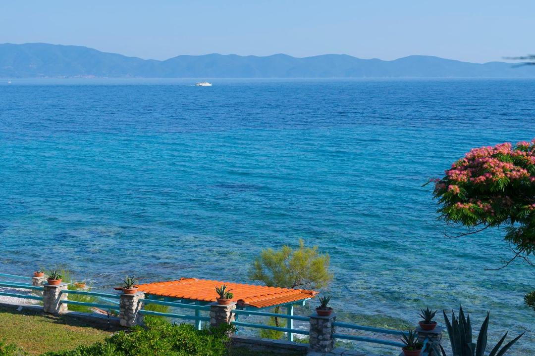 Photo of Others in Aristotelis