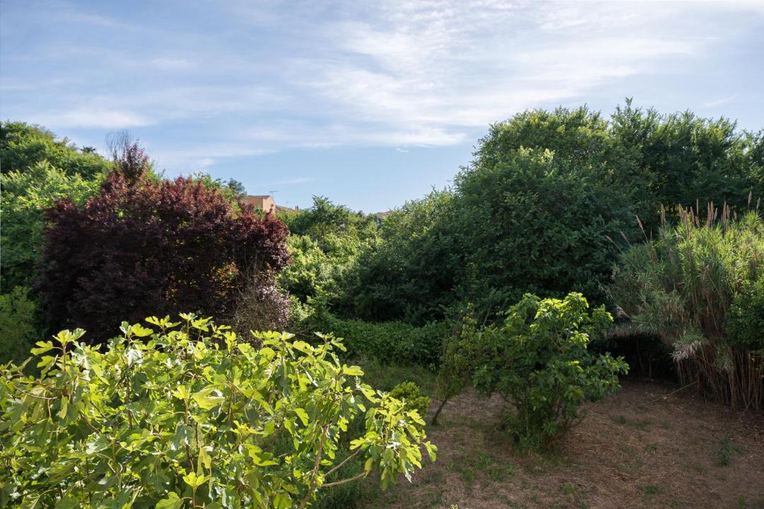 Photo of Outdoor in Alepou