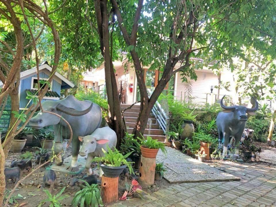 Photo of Others in Don Phai