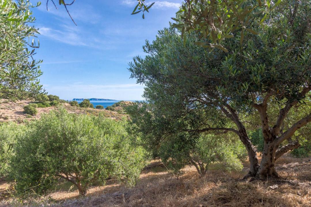 Photo of Others in Sitia