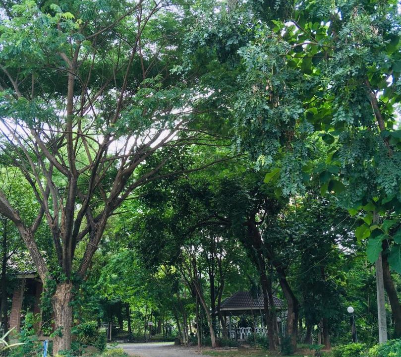 Photo of Others in Chaiyaphum