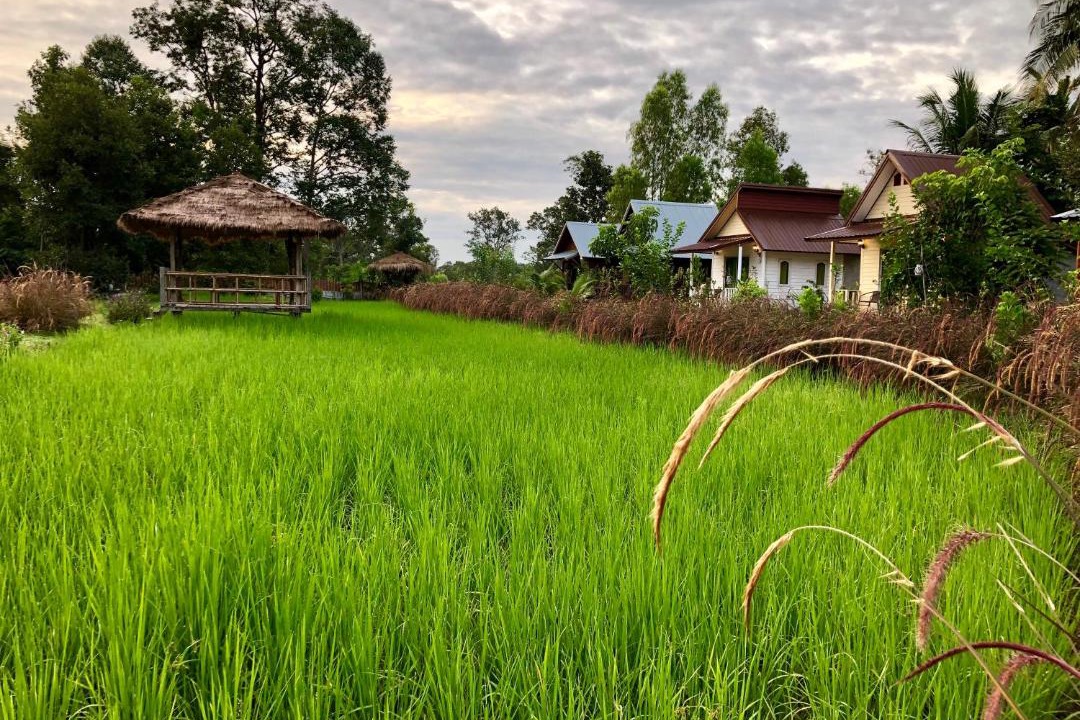 Photo of Others in Prasat
