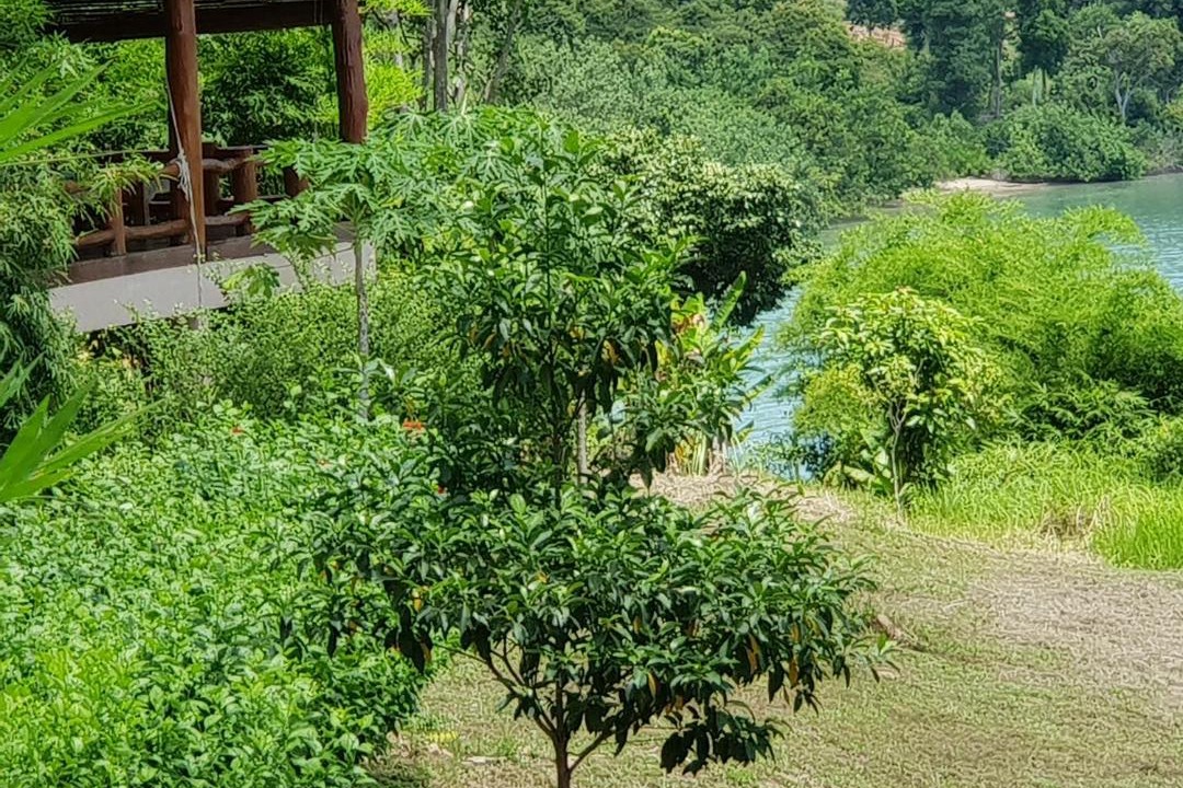 Photo of Others in Ko Yao