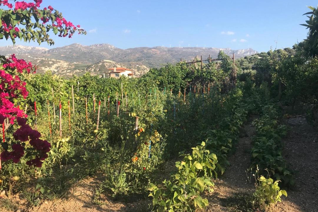 Photo of Outdoor in Sitia