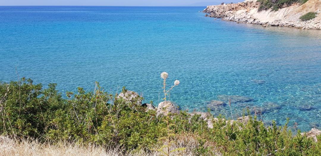 Photo of Others in Pefkos