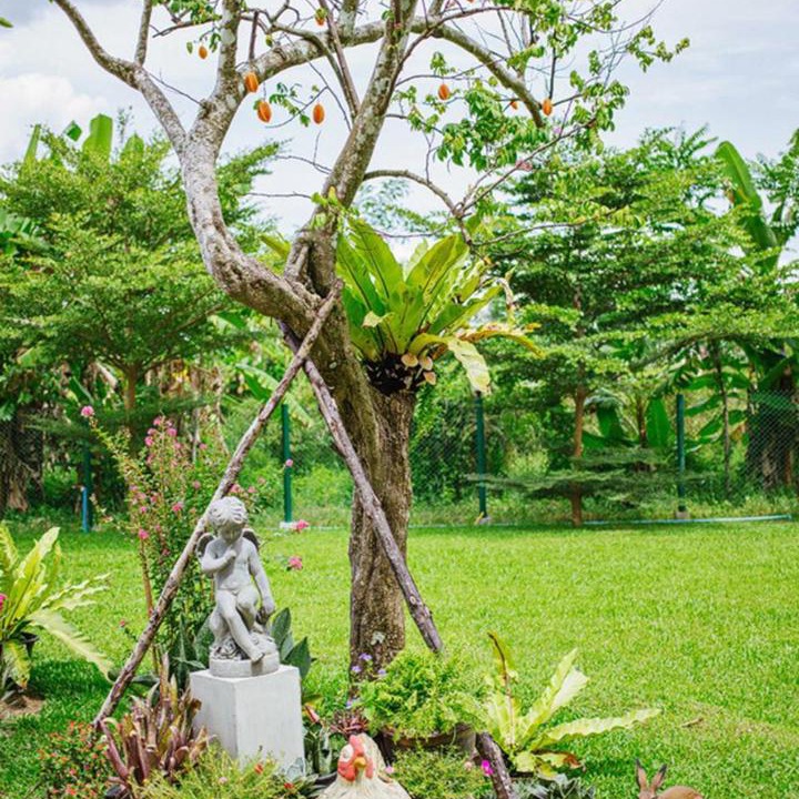 Photo of Others in Nakhon Si Thammarat