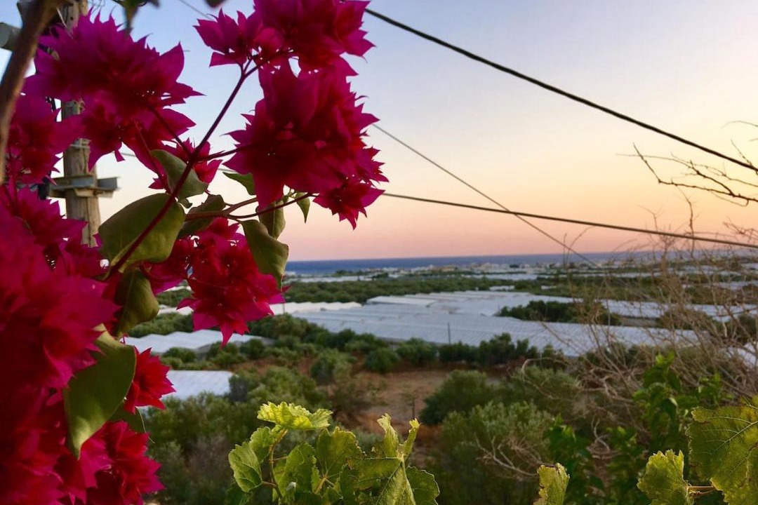 Photo of Outdoor in Gra Lygia