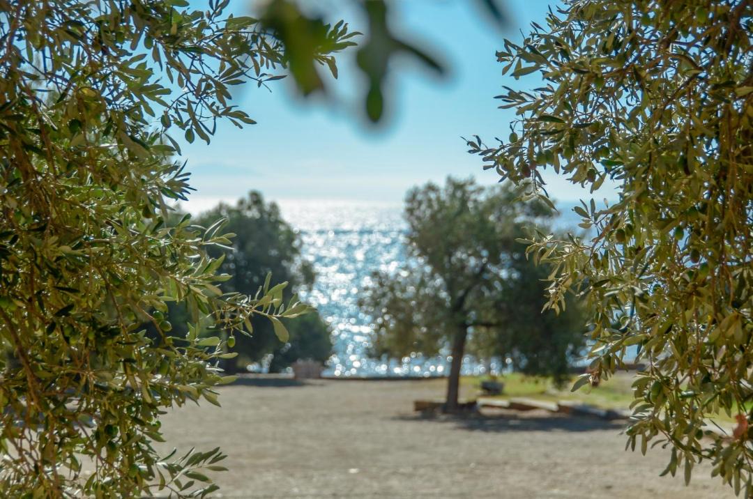 Photo of Others in Naxos