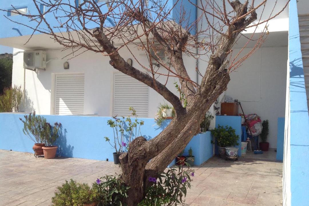 Photo of Others in Kefalos