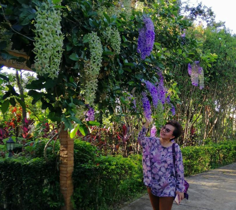 Photo of Outdoor in Pong Ta Long