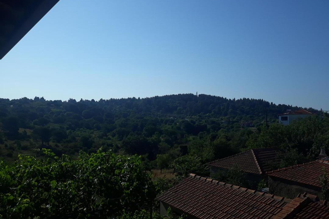 Photo of Others in Lafkos