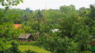 Photo of Others in K. Phu Pieng