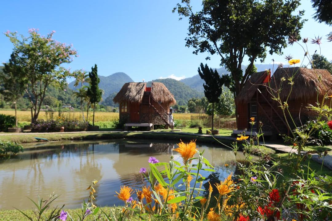 Photo of Others in Pai