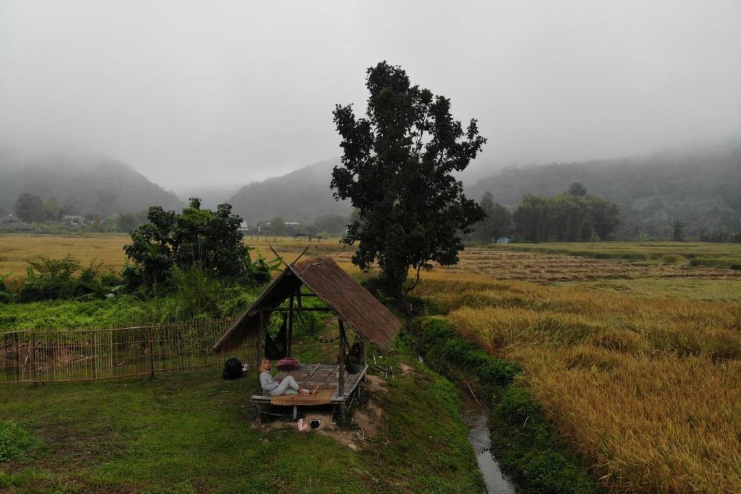 Photo of Others in Pai