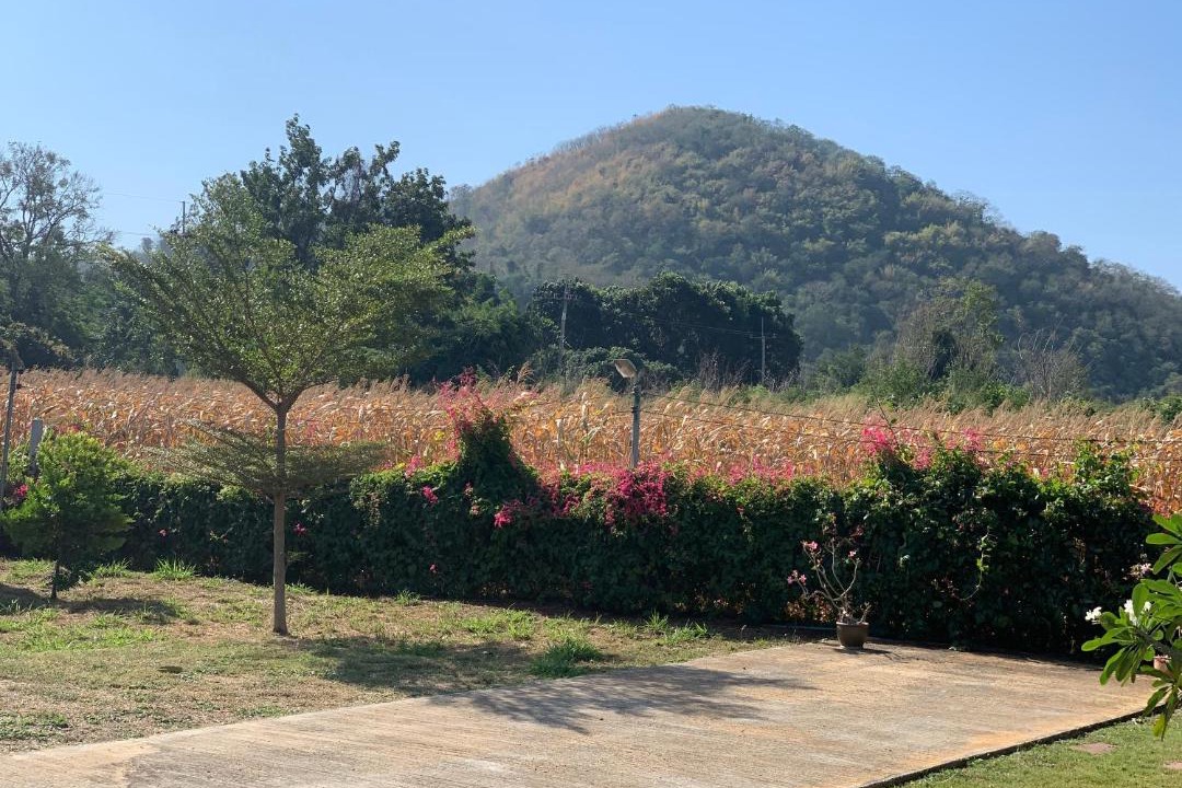 Photo of Others in Nong Nam Daeng