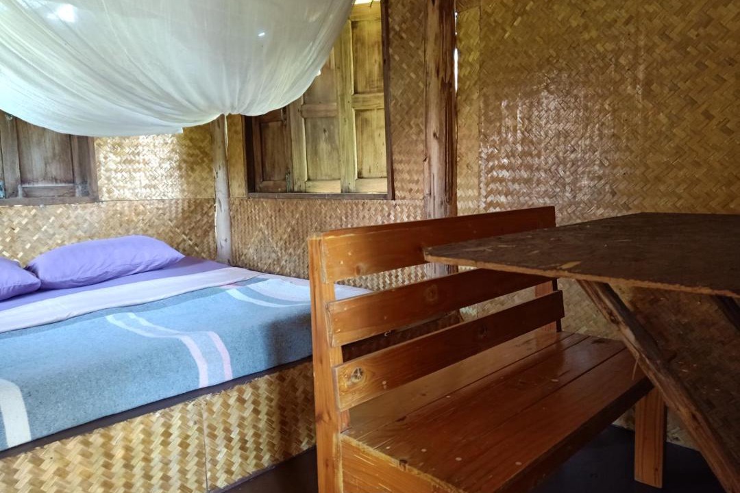 Photo of Others in Pai