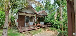 Photo of Others in Nong Thale