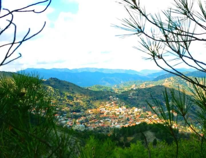 Photo of Others in Pedhoulas