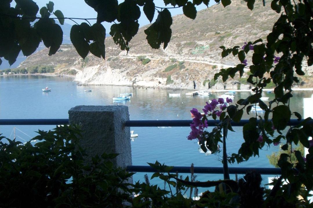 Photo of Others in Adamas