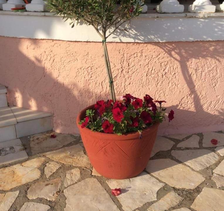 Photo of Others in Dafnata
