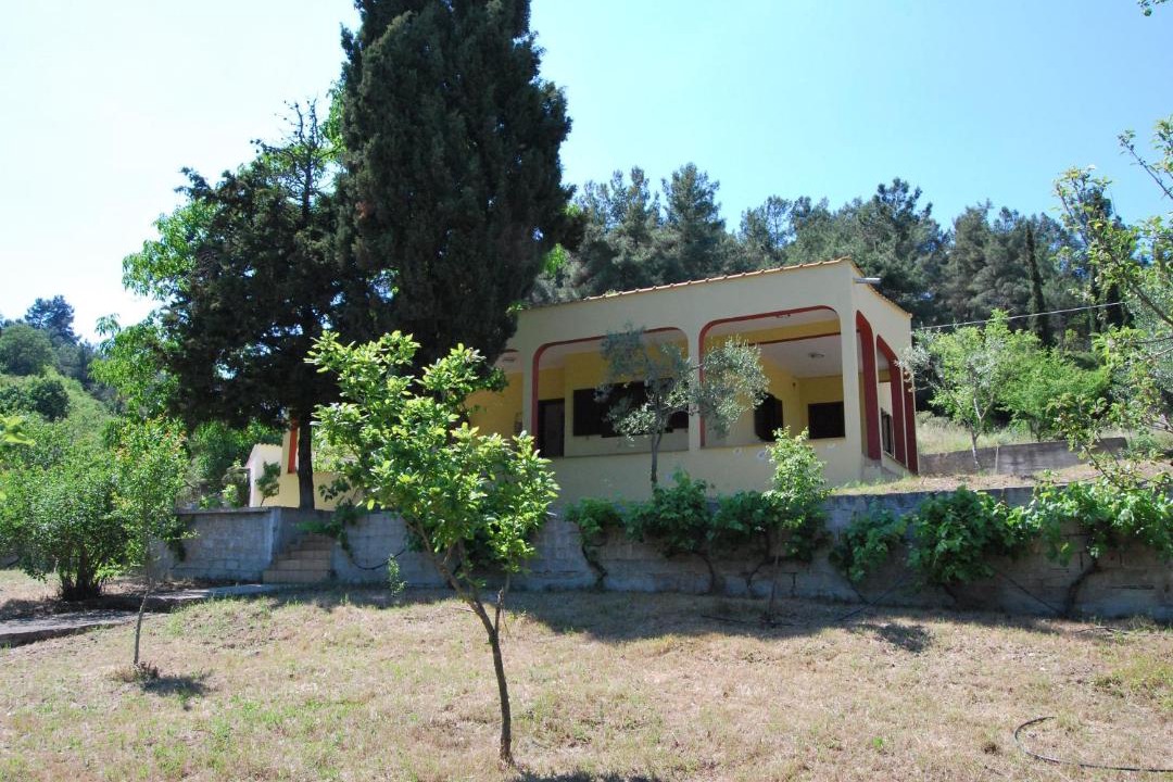 Photo of Buildings in Kavala