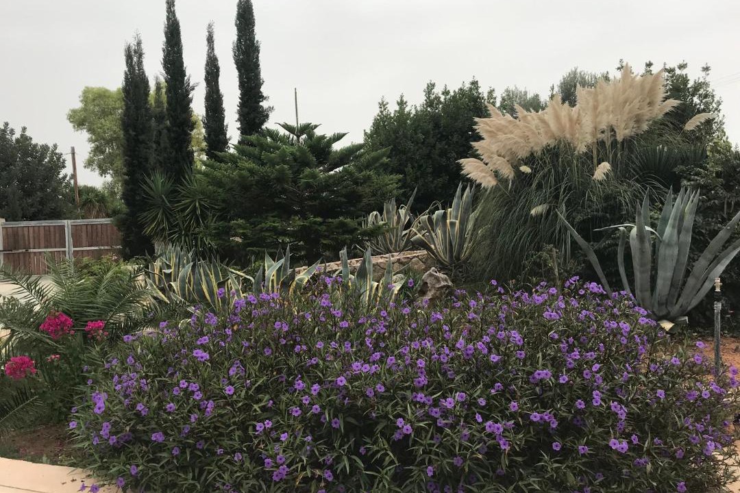 Photo of Outdoor in Kilada