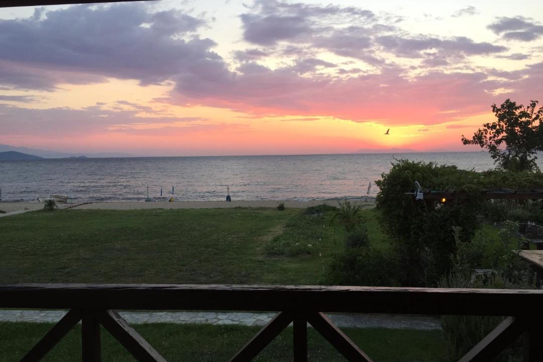 Photo of Others in Aristotelis