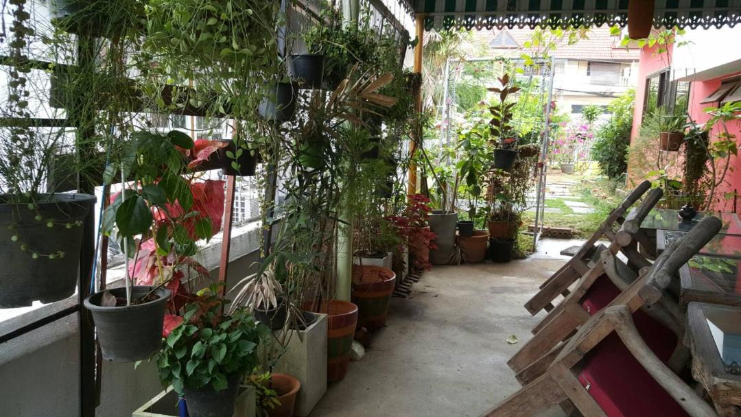 Photo of Livingroom in Pa Daet