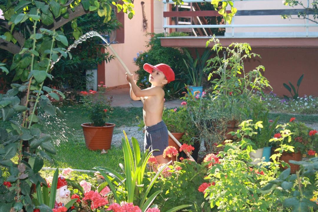 Photo of Others in Valimitika