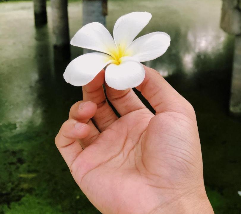 Photo of Others in Suan Luang