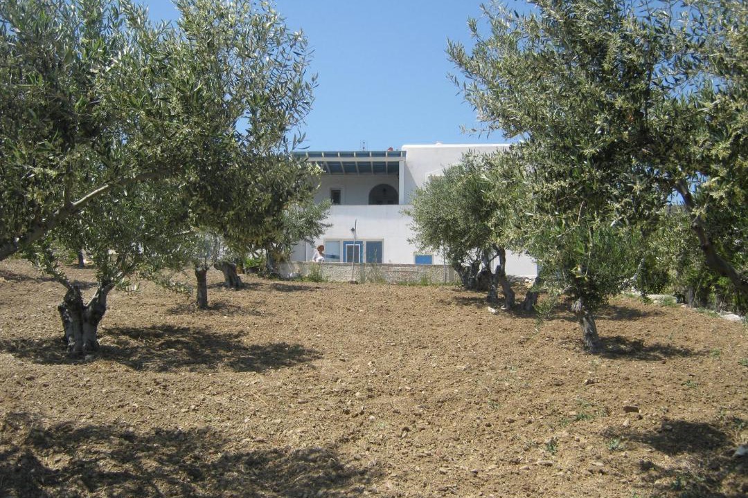 Photo of Others in Paros