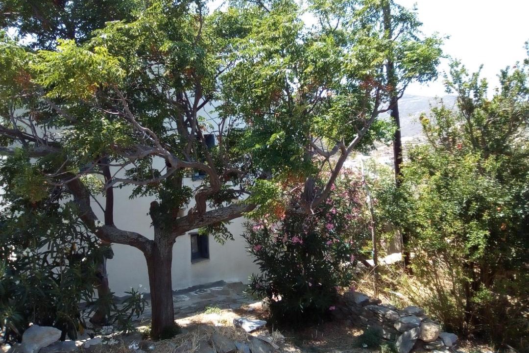Photo of Others in Panormos